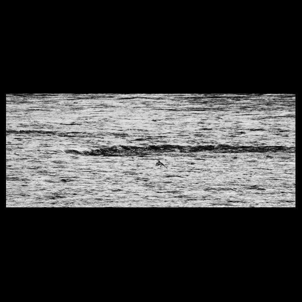 PHOTO84, CLUB, 84 , LUBERON